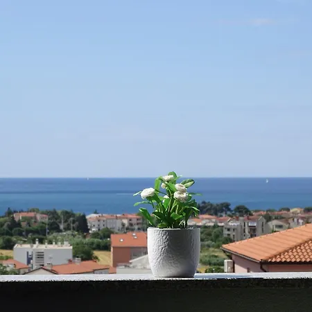 アパート Bellavista Novigrad Istria