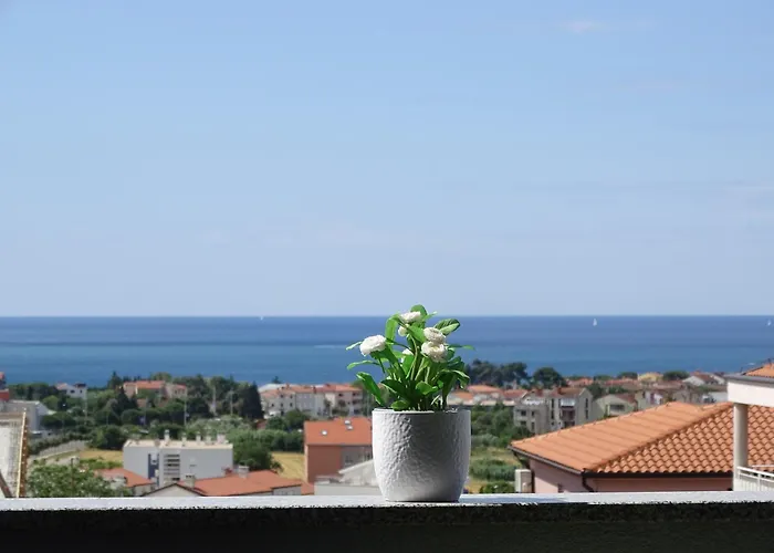 Διαμέρισμα Bellavista Novigrad Istria