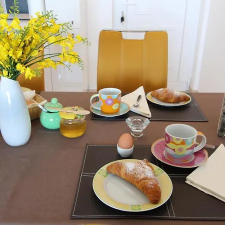 Bellavista Novigrad Istria